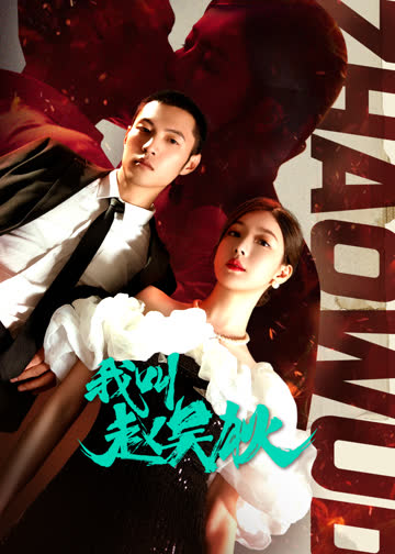 我叫赵吴狄 海报 高清在线观看