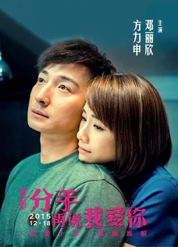 分手再说我爱你 海报 高清在线观看
