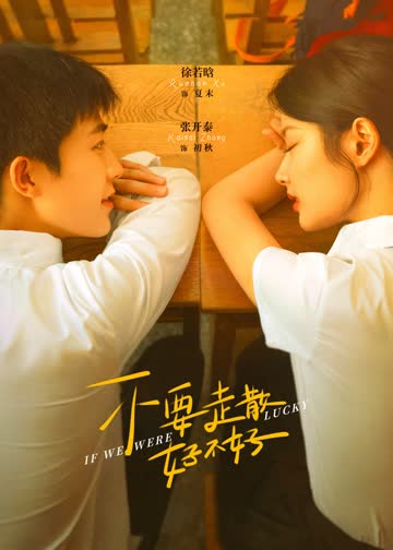 不要走散好不好 海报 高清在线观看