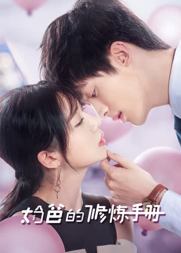 奶爸的修炼手册 海报 高清在线观看