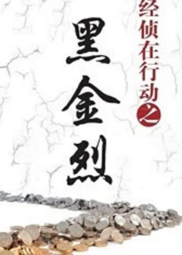 经侦在行动之黑金烈 海报 高清在线观看