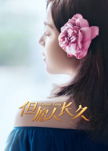 但愿人长久 海报 高清在线观看