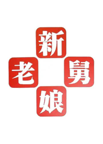 新老娘舅 海报 高清在线观看