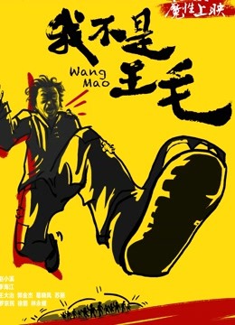 我不是王毛 海报 高清在线观看