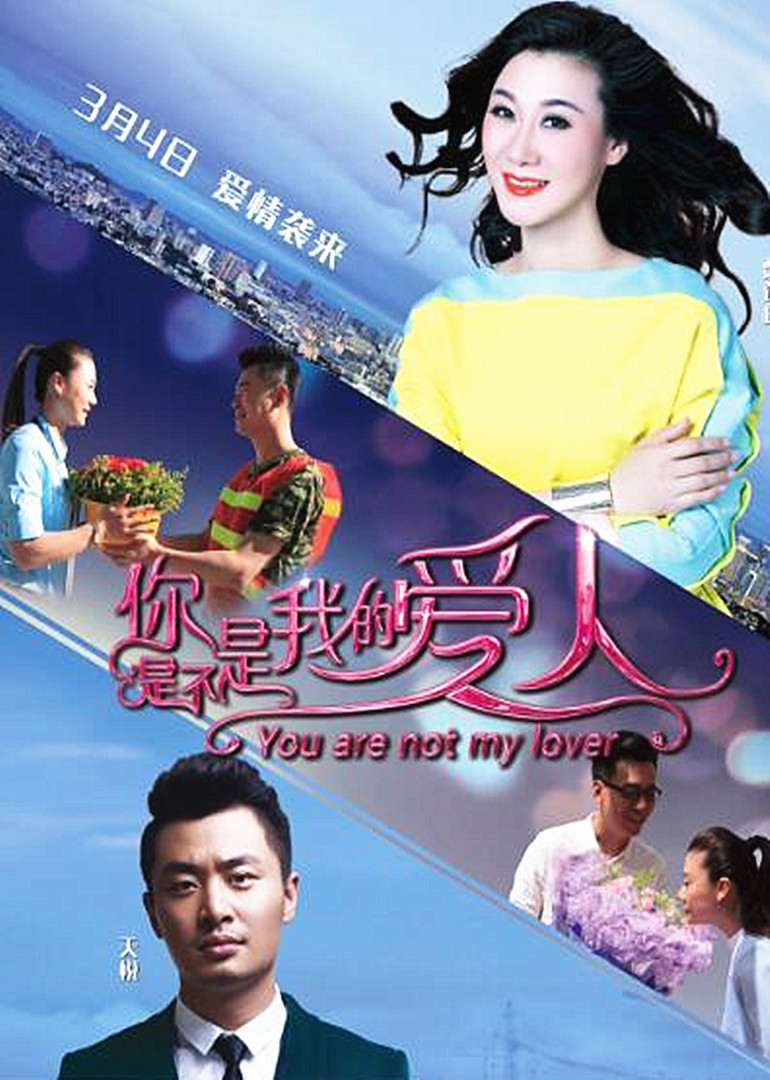 你是不是我的爱人 海报 高清在线观看