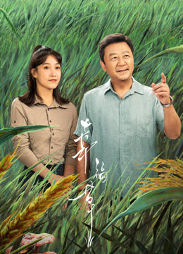幸福草 海报 高清在线观看