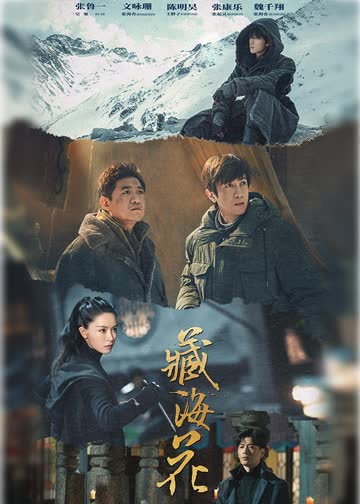 藏海花 海报 高清在线观看