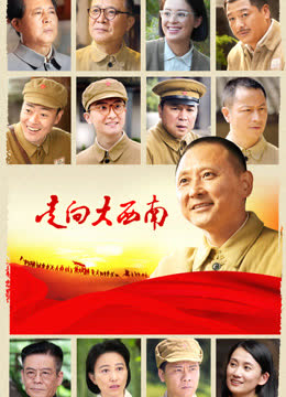 走向大西南 海报 高清在线观看