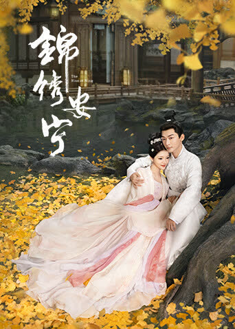 锦绣安宁 海报 高清在线观看