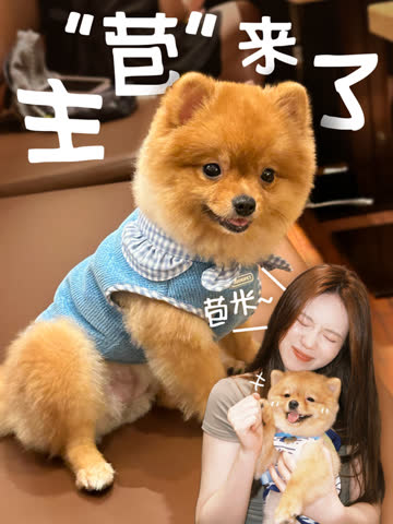 一口汉堡苞 海报 高清在线观看