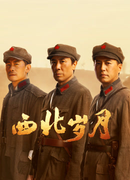 西北岁月 海报 高清在线观看