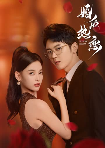 婚后热恋 海报 高清在线观看