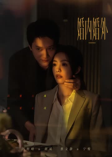 婚内婚外 海报 高清在线观看