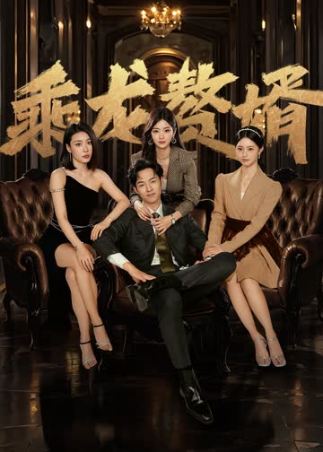 乘龙赘婿 海报 高清在线观看