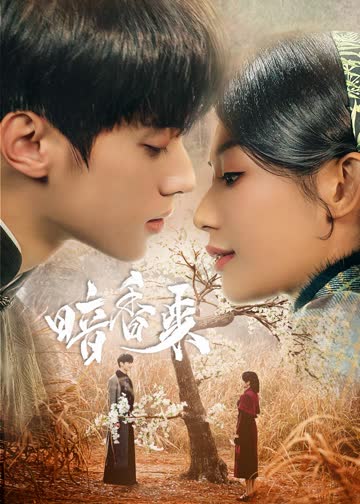 暗香来 海报 高清在线观看