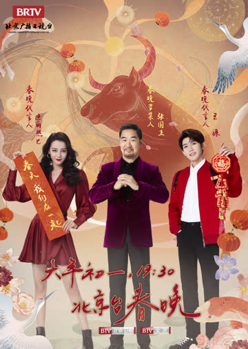 大年初一四台春晚精彩节目回顾 海报 高清在线观看