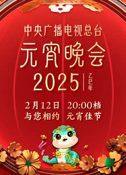 2025年中央广播电视总台元宵晚会 海报 高清在线观看