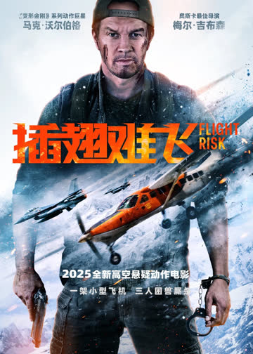 插翅难飞 海报 高清在线观看