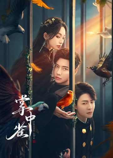 掌中雀 海报 高清在线观看