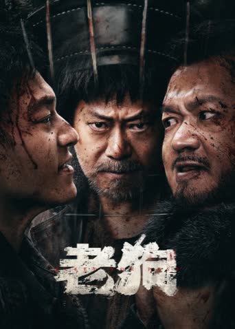 老狗 海报 高清在线观看