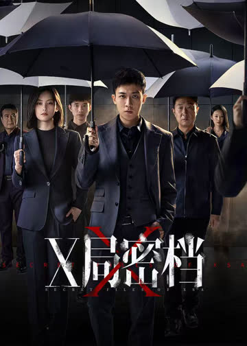 X局密档 海报 高清在线观看