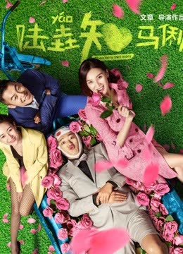 陆垚知马俐 海报 高清在线观看