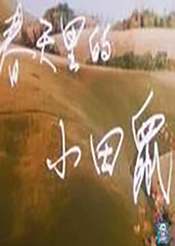春天里的小田鼠 海报 高清在线观看
