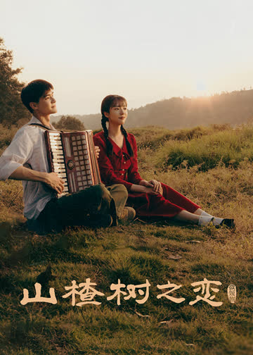 山楂树之恋 海报 高清在线观看