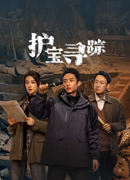 护宝寻踪 海报 高清在线观看