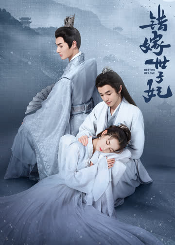 错嫁世子妃 海报 高清在线观看