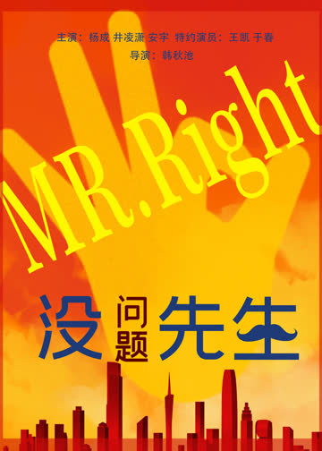 没问题先生 海报 高清在线观看