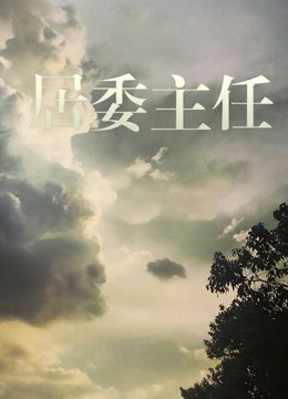 居委主任 海报 高清在线观看