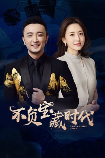 不负宝藏时代 海报 高清在线观看