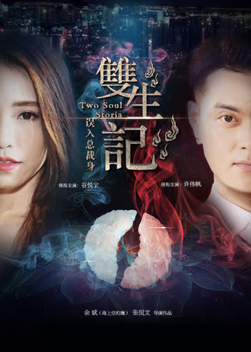 双生记之误入总裁身 海报 高清在线观看