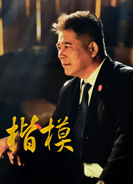 楷模 海报 高清在线观看