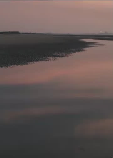 两个爸爸的故事 海报 高清在线观看