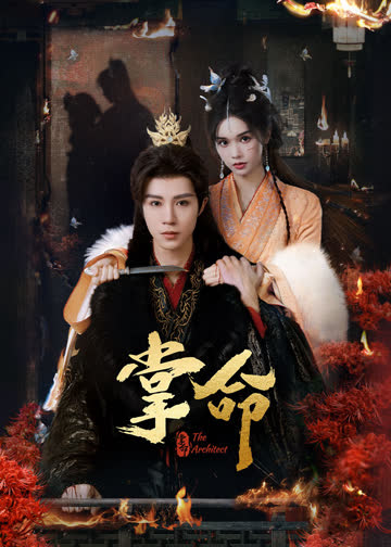 掌命 海报 高清在线观看