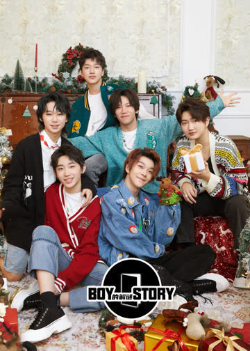 BOY的解谜STORY 海报 高清在线观看