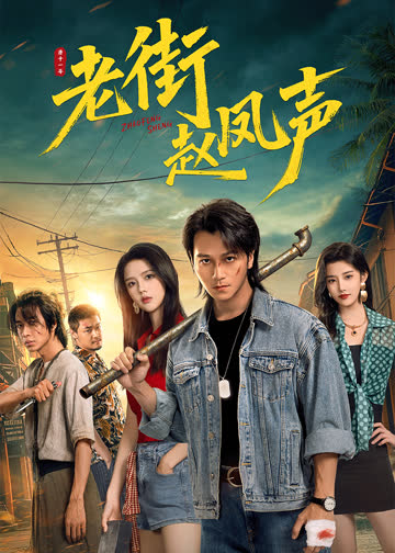 老街赵凤声 海报 高清在线观看