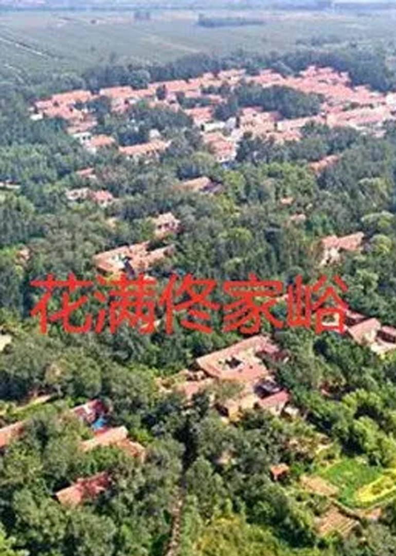 花满佟家峪 海报 高清在线观看