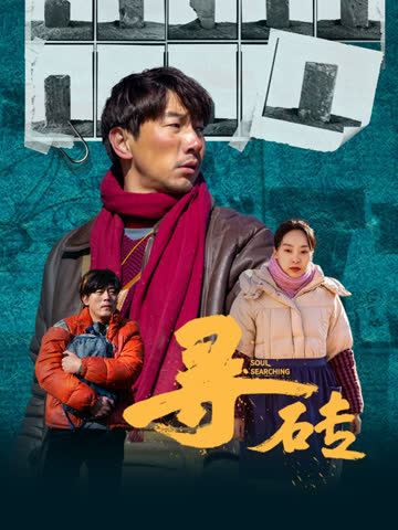 寻砖 海报 高清在线观看