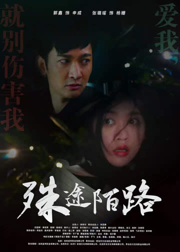 殊途陌路 海报 高清在线观看