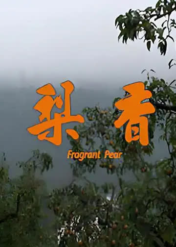 梨香 海报 高清在线观看