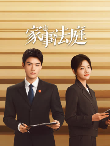 家事法庭 海报 高清在线观看