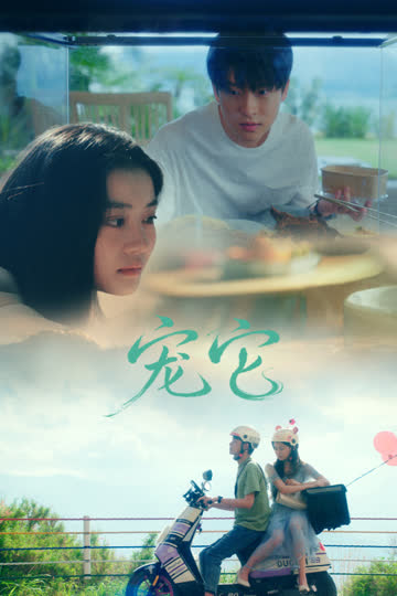 宠它 海报 高清在线观看