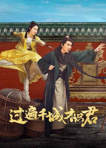 过遍千城才识君 海报 高清在线观看