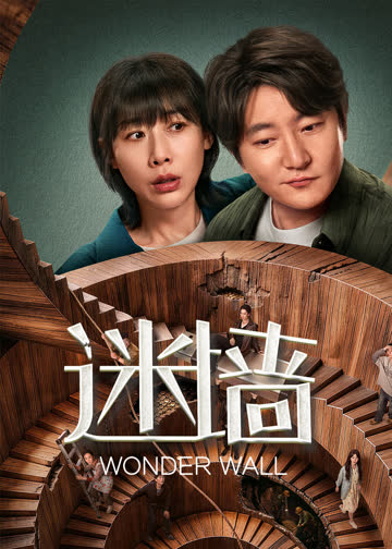 迷墙 海报 高清在线观看