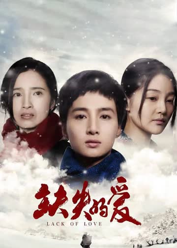 缺失的爱 海报 高清在线观看
