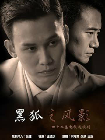 黑狐之风影 海报 高清在线观看