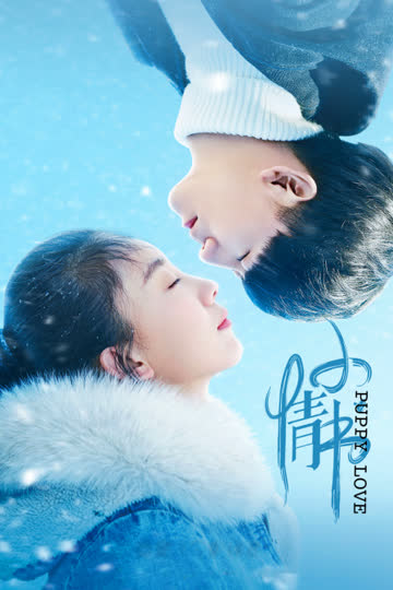 小情书 海报 高清在线观看